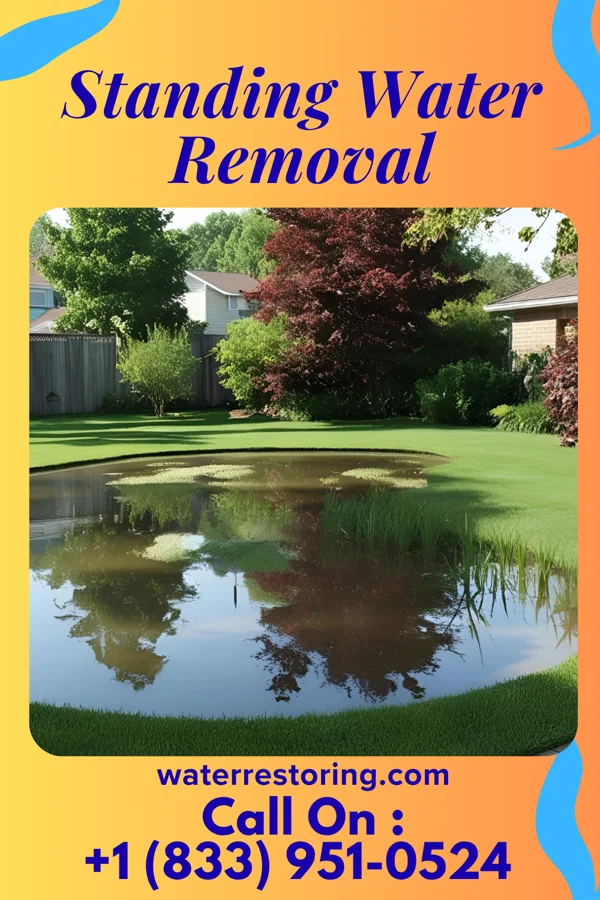Standing Water Removal in Fellsmere, FL